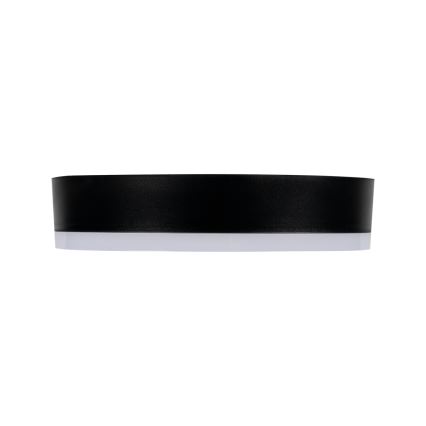 LED Outdoor ceiling light TURA LED/24W/230V 4000K IP54 black