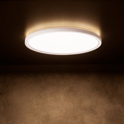 LED Ceiling Light AZPO LED/22W/230V 3000/4000/6000K Ø 42 cm IP54 White