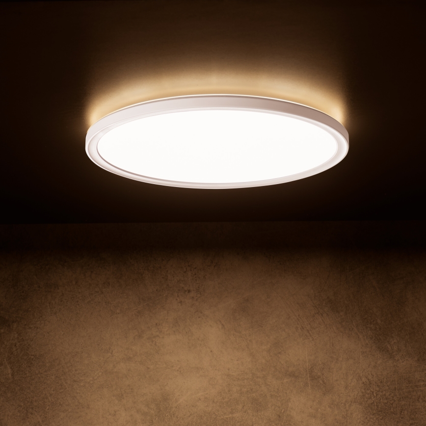 LED Ceiling Light AZPO LED/22W/230V 3000/4000/6000K Ø 42 cm IP54 White