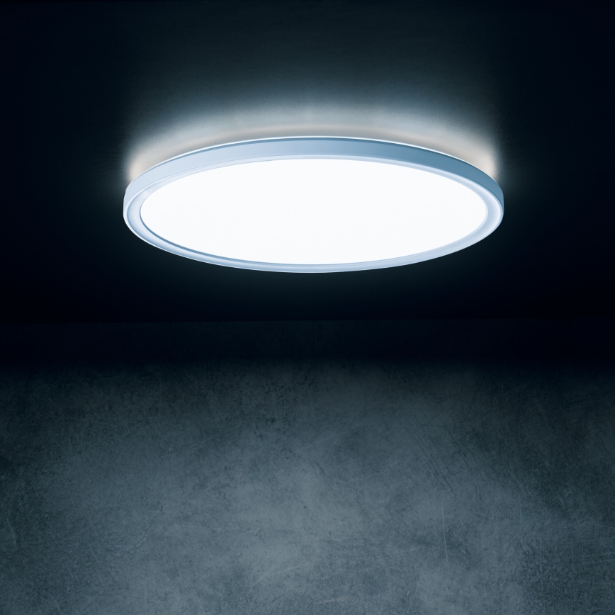 LED Ceiling Light AZPO LED/22W/230V 3000/4000/6000K Ø 42 cm IP54 White