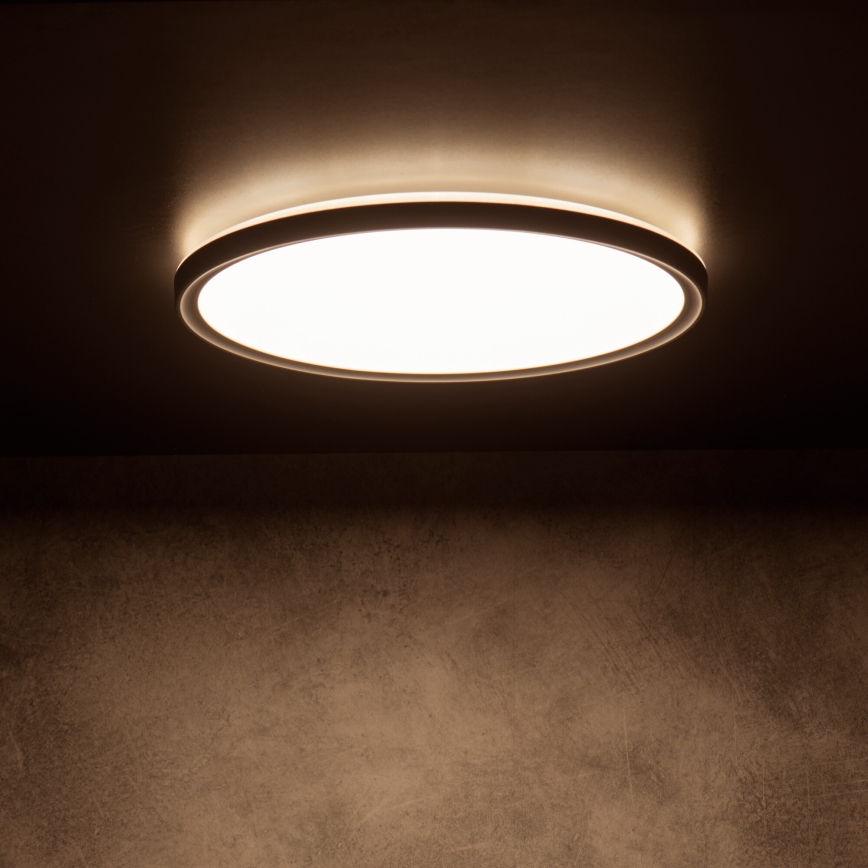 LED Ceiling Light AZPO LED/22W/230V 3000/4000/6000K Ø 42 cm IP54 black