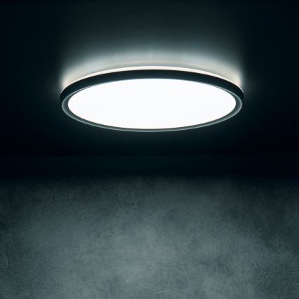 LED Ceiling Light AZPO LED/22W/230V 3000/4000/6000K Ø 42 cm IP54 black