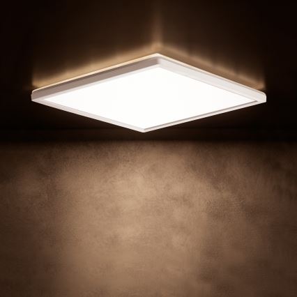 AZPO LED Ceiling Light 12.3W/230V 3000/4000/6000K 22.5x22.5 cm IP54 White