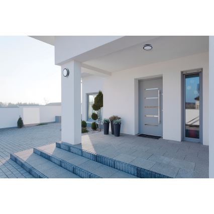 LED Outdoor light with a sensor BENO LED/18W/230V 4000K anthracite IP54