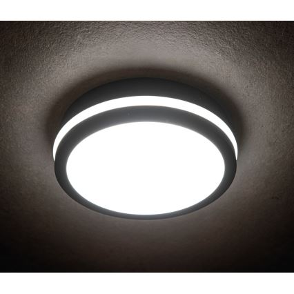 LED Outdoor light with a sensor BENO LED/18W/230V 4000K anthracite IP54