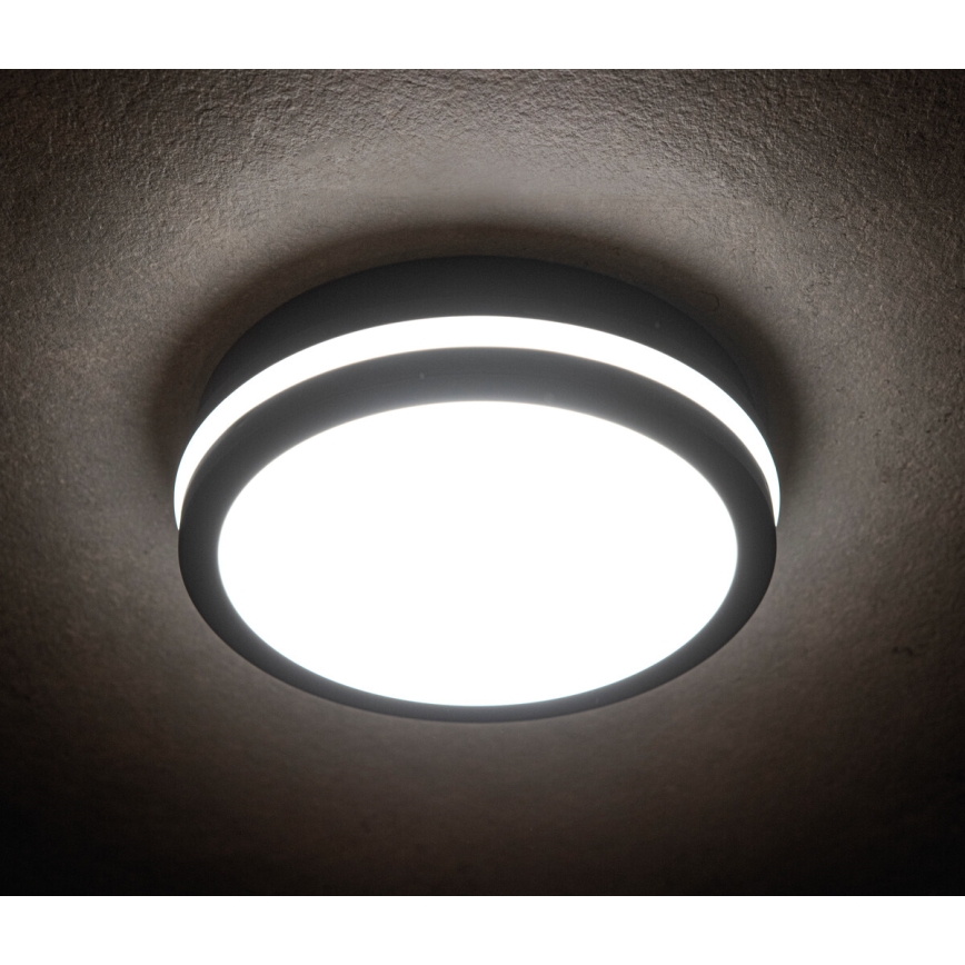LED Outdoor light with a sensor BENO LED/18W/230V 4000K anthracite IP54
