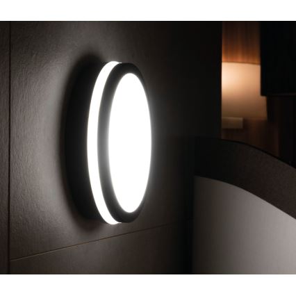LED Outdoor light with a sensor BENO LED/18W/230V 4000K anthracite IP54