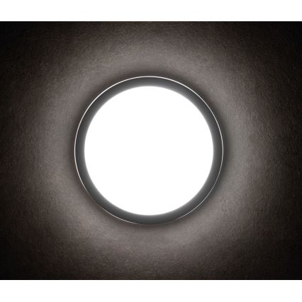 LED Outdoor light with a sensor BENO LED/18W/230V 4000K anthracite IP54