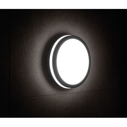 LED Outdoor light with a sensor BENO LED/18W/230V 4000K anthracite IP54