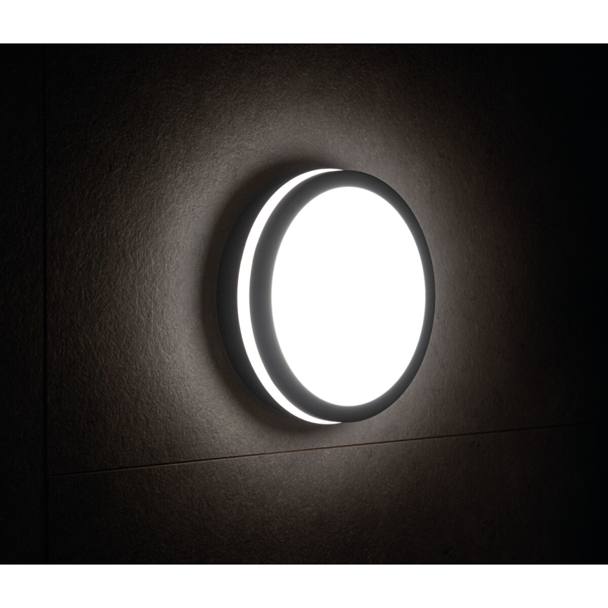 LED Outdoor light with a sensor BENO LED/18W/230V 4000K anthracite IP54
