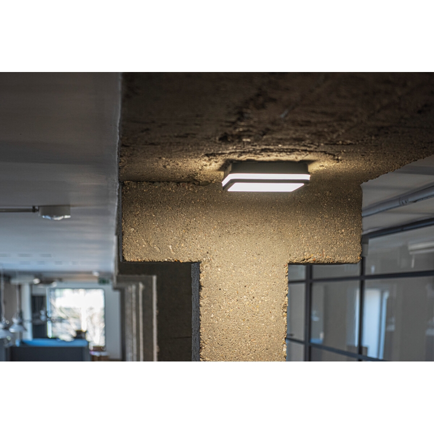 LED Outdoor light with sensor BENO LED/18W/230V 4000K IP54 anthracite