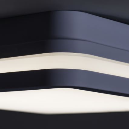 LED Outdoor light with sensor BENO LED/18W/230V 4000K IP54 anthracite