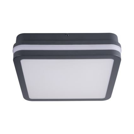 LED Outdoor light with sensor BENO LED/18W/230V 4000K IP54 anthracite