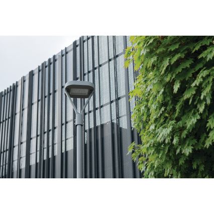 LED Street lamp PARCOLI LED/30/40/50W/230V 3000/4000/6500K IP66 grey