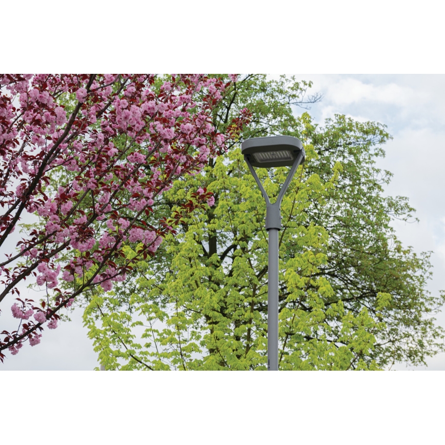 LED Street lamp PARCOLI LED/30/40/50W/230V 3000/4000/6500K IP66 grey
