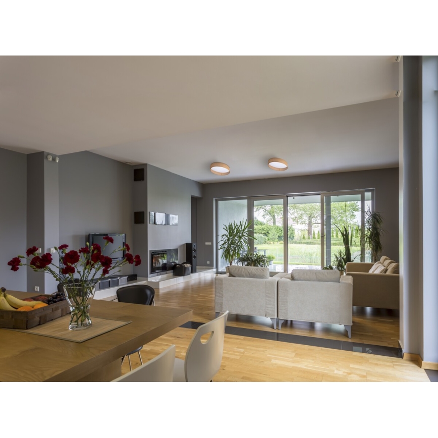 LED Ceiling light RIFA LED/17,5W/230V 4000K brown