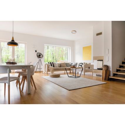 LED Ceiling light RIFA LED/17,5W/230V 3000K brown