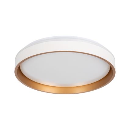 LED Ceiling light SOLN LED/17,5W/230V d. 38 cm white/gold