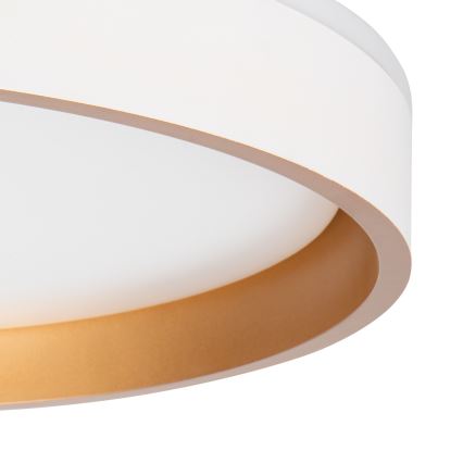 LED Ceiling light SOLN LED/17,5W/230V d. 38 cm white/gold
