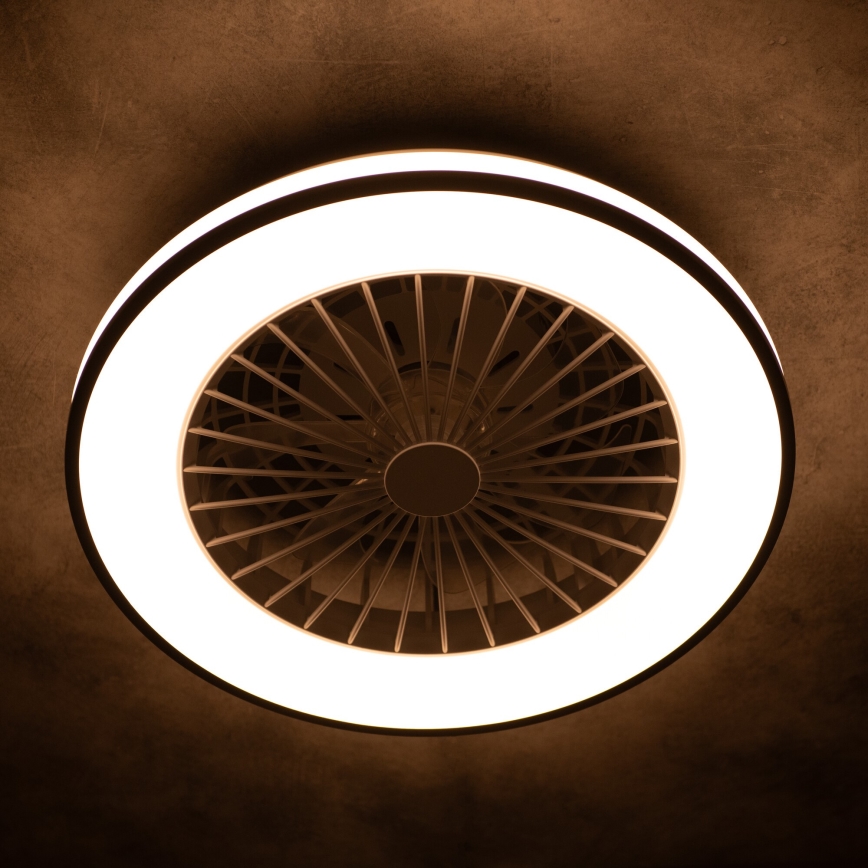 LED Dimmable ceiling light with a fan PLAVE LED/48W/230V 3000/4000/6500K + remote control