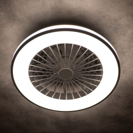 LED Dimmable ceiling light with a fan PLAVE LED/48W/230V 3000/4000/6500K + remote control