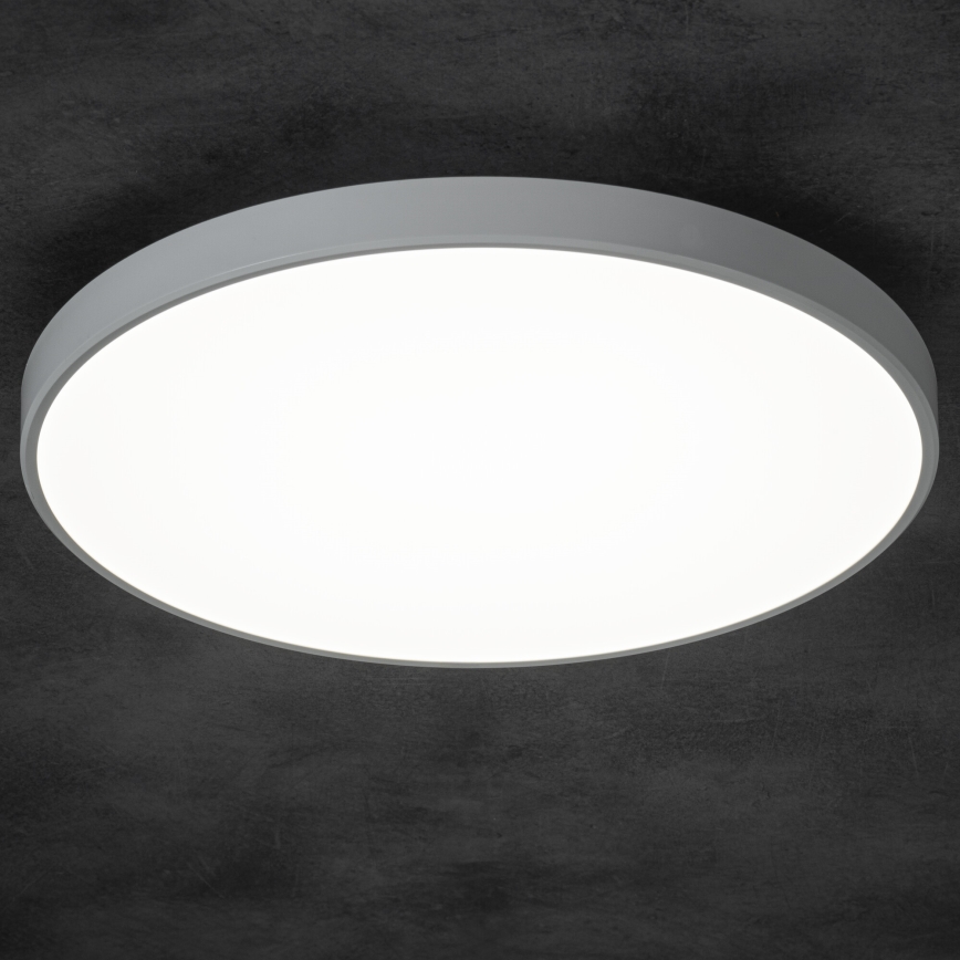 LED Dimmable ceiling light PLAFON LED/20W/230V 3000-6500K Wi-Fi white