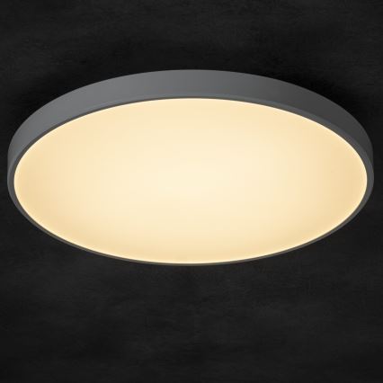 LED Dimmable ceiling light PLAFON LED/20W/230V 3000-6500K Wi-Fi white