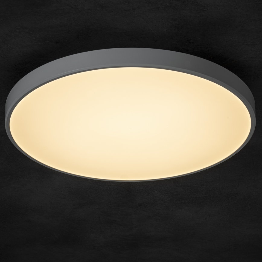LED Dimmable ceiling light PLAFON LED/20W/230V 3000-6500K Wi-Fi white