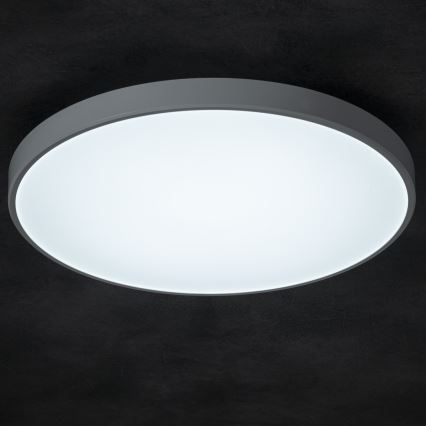 LED Dimmable ceiling light PLAFON LED/20W/230V 3000-6500K Wi-Fi white