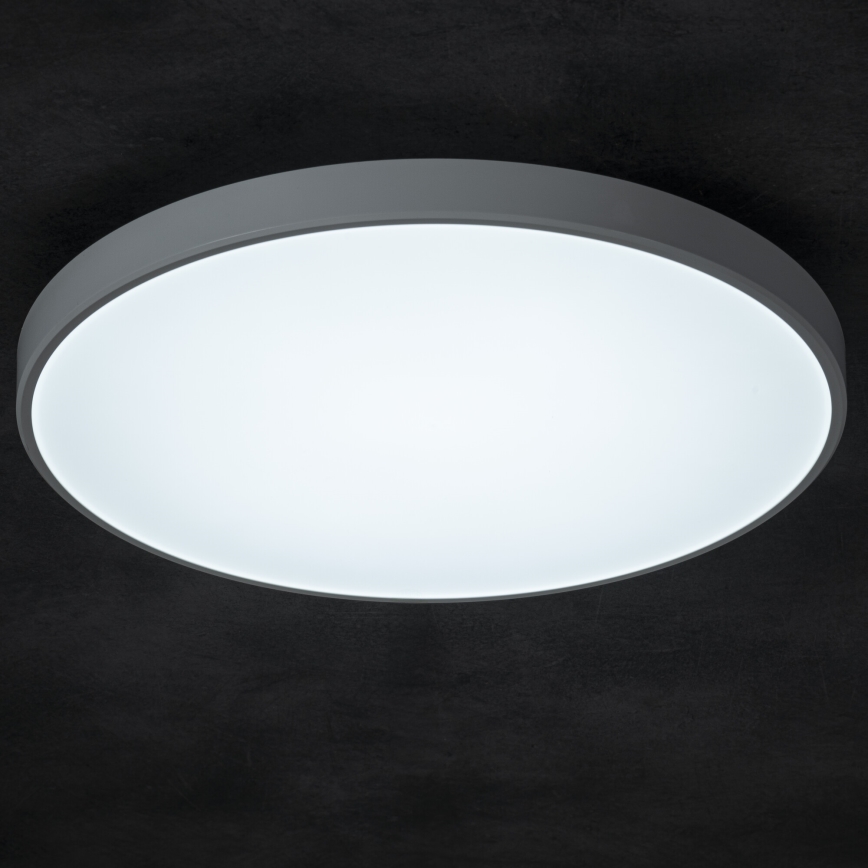 LED Dimmable ceiling light PLAFON LED/20W/230V 3000-6500K Wi-Fi white