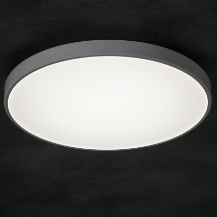 LED Dimmable ceiling light PLAFON LED/20W/230V 3000-6500K Wi-Fi white