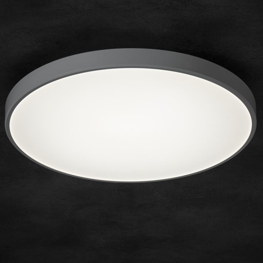 LED Dimmable ceiling light PLAFON LED/20W/230V 3000-6500K Wi-Fi white
