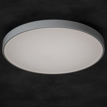 LED Dimmable ceiling light PLAFON LED/20W/230V 3000-6500K Wi-Fi white
