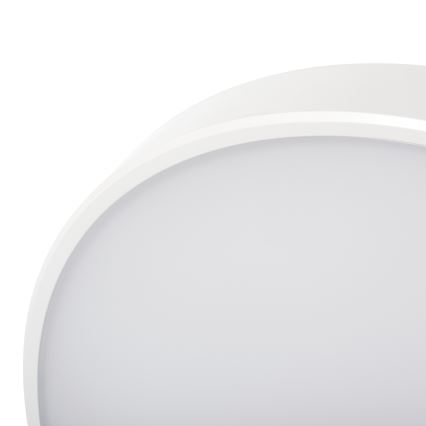 LED Dimmable ceiling light PLAFON LED/20W/230V 3000-6500K Wi-Fi white