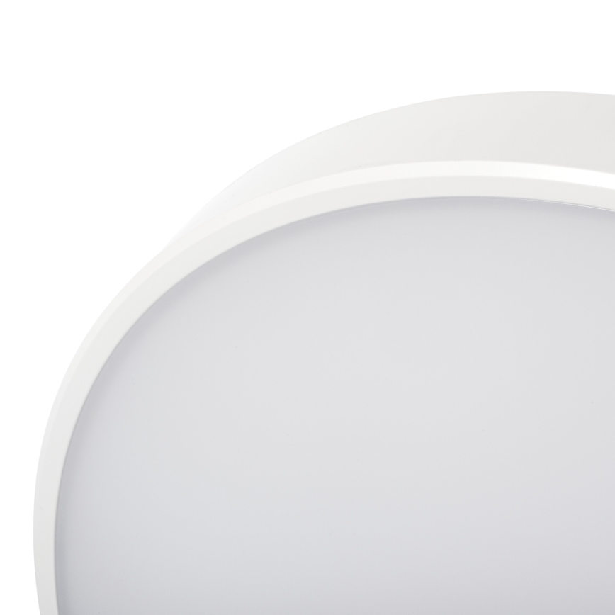 LED Dimmable ceiling light PLAFON LED/20W/230V 3000-6500K Wi-Fi white