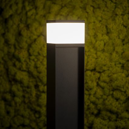 Outdoor lamp DASTEN 1xG9/11W/230V 50 cm IP44 black