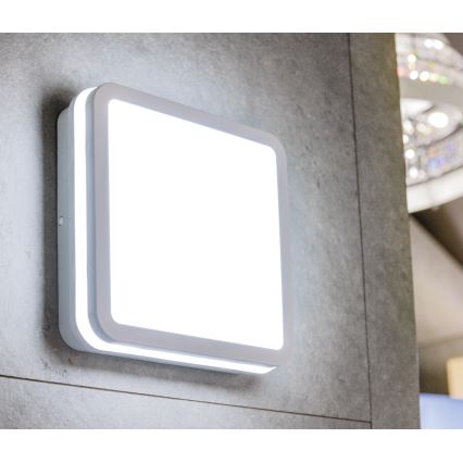 LED Outdoor ceiling light with motion sensor BENO LED/12/18W/230V 3000/3500/4000K IP65 white angular