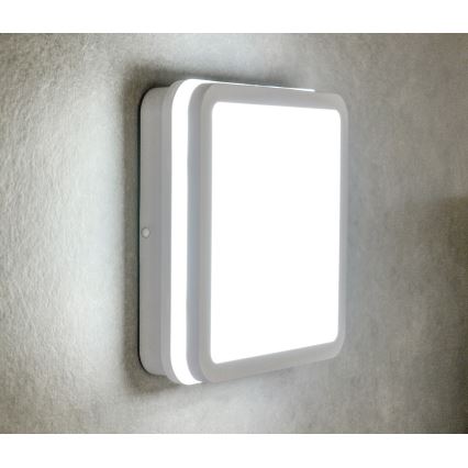 LED Outdoor ceiling light with motion sensor BENO LED/12/18W/230V 3000/3500/4000K IP65 white angular
