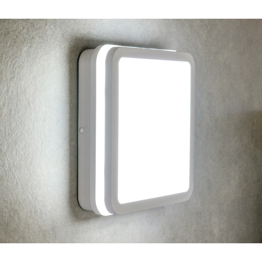 LED Outdoor ceiling light with motion sensor BENO LED/12/18W/230V 3000/3500/4000K IP65 white angular