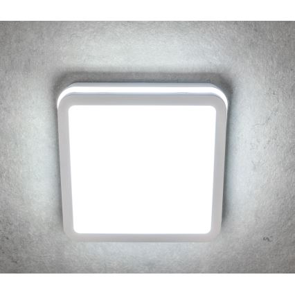 LED Outdoor ceiling light with motion sensor BENO LED/12/18W/230V 3000/3500/4000K IP65 white angular