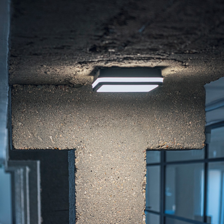 LED Outdoor ceiling light with motion sensor BENO LED/12/18W/230V 3000/3500/4000K IP65 anthracite angular