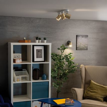 Wall spotlight LAURIN 1xGU10/10W/230V brass/black