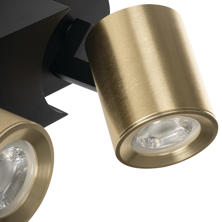 Spotlight LAURIN 3xGU10/10W/230V brass/black
