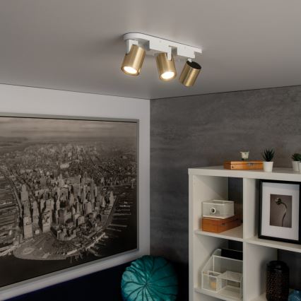Spotlight LAURIN 3xGU10/10W/230V brass/white