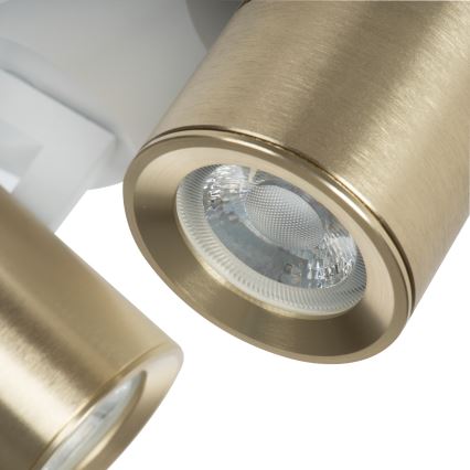 Spotlight LAURIN 3xGU10/10W/230V brass/white