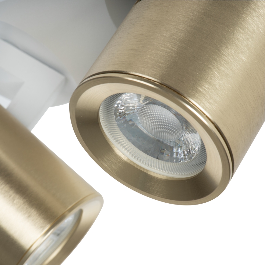 Spotlight LAURIN 3xGU10/10W/230V brass/white