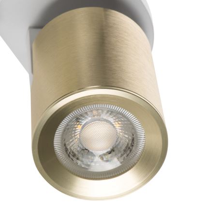 Spotlight LAURIN 3xGU10/10W/230V brass/white