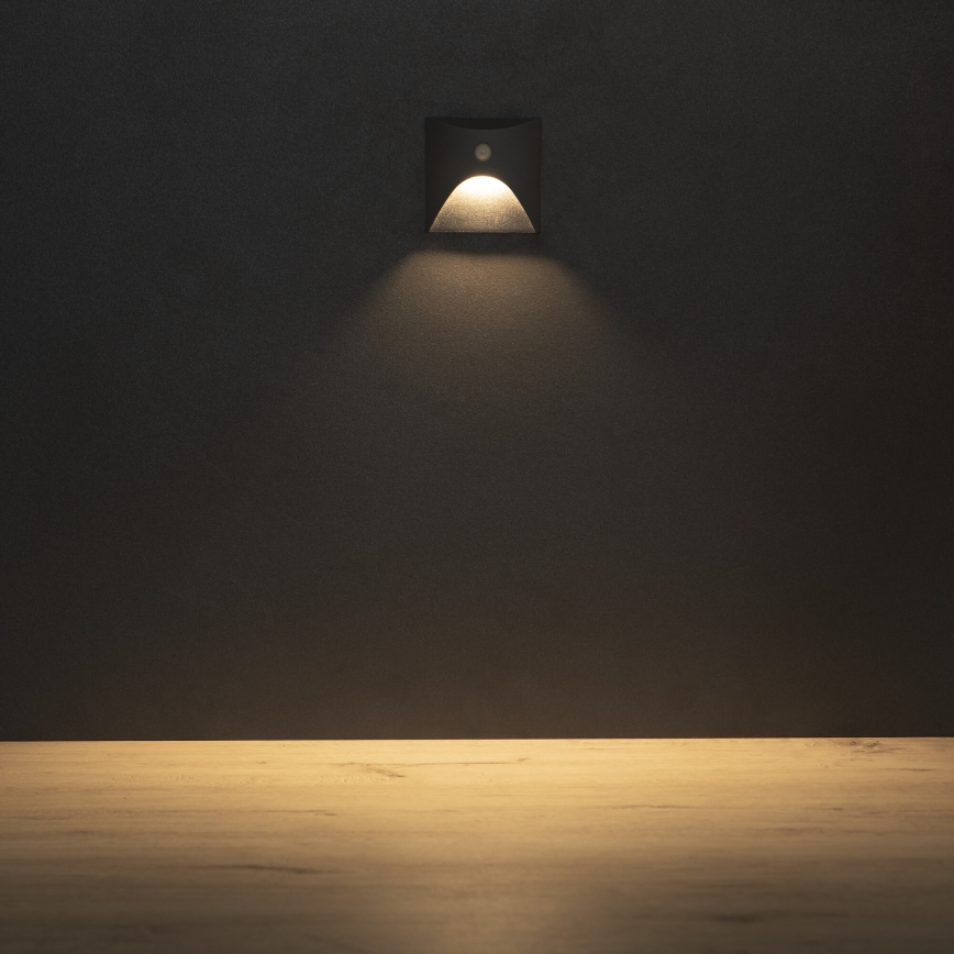 EXIN LED staircase light with motion and dusk sensor, LED/2.5W/230V, 3000K, IP65, anthracite, square