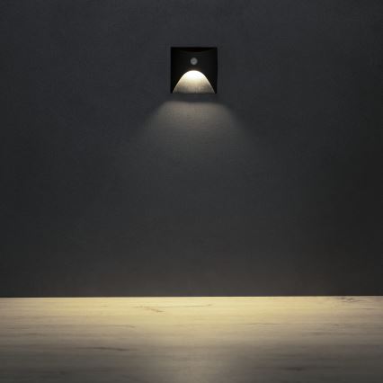 EXIN LED Staircase Light with Motion and Dusk Sensor, 2.5W/230V, 4000K, IP65, Black, Square