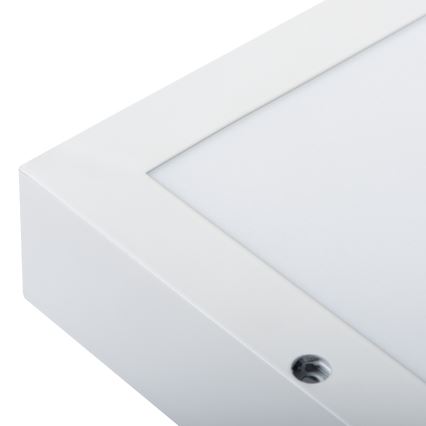 BLINGO AIO Surface-mounted LED Panel 40W 230V 3000/4000/6500K 60x60 cm CRI 90